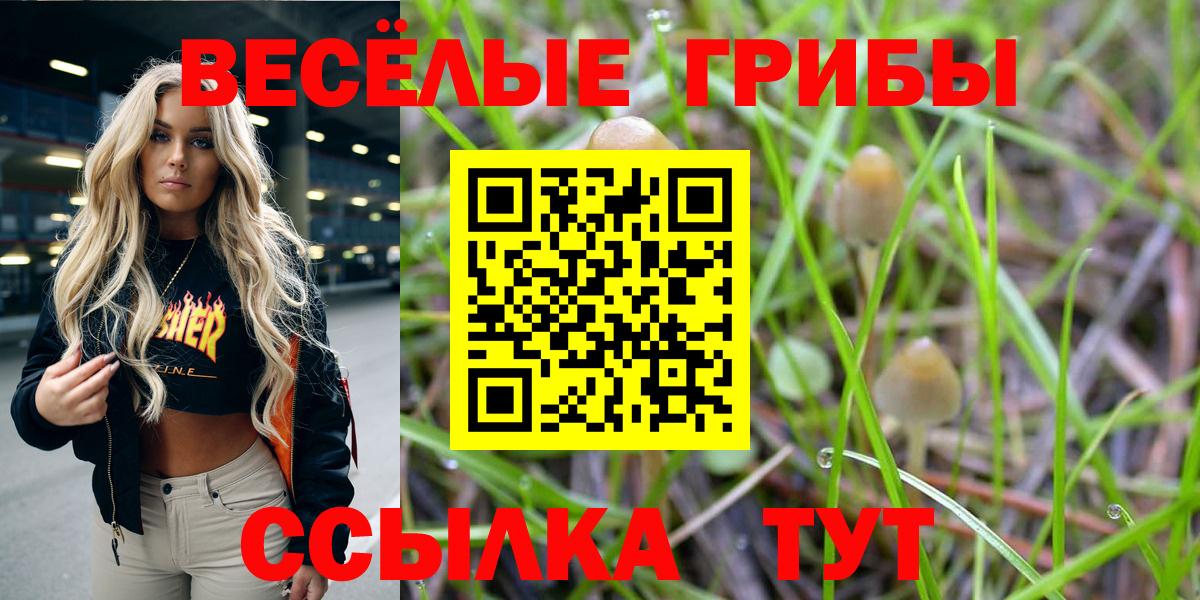 где найти наркотики  Псилоцибиновые грибы Psilocybine cubensis  Вход с VPN  Ульяновск 